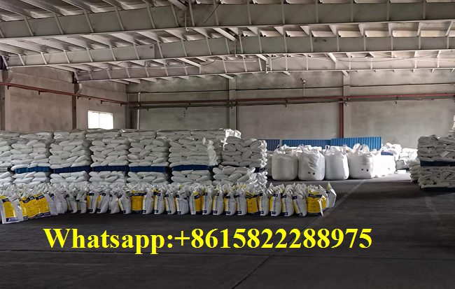 caustic soda manufacturers in the world china